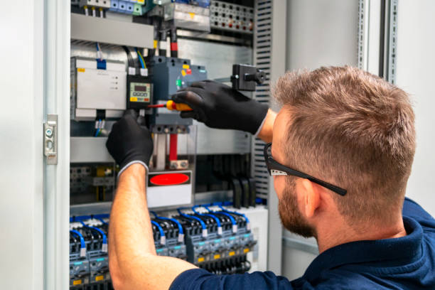 Best Local Electrician Companies  in Caledonia, MN