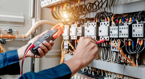 Best Local Electrician Companies  in Caledonia, MN