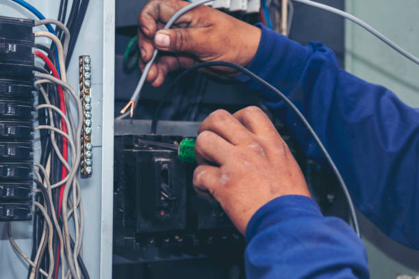 Best Ceiling Fan Installation Electrician  in Caledonia, MN