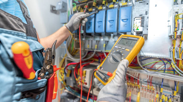 Best Electrician for Home Renovation  in Caledonia, MN